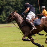 Olahraga Polo: Popularitas, Turnamen, dan Prestise Global