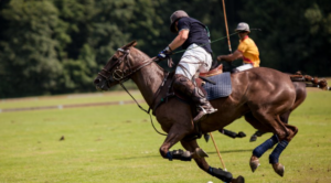 Olahraga Polo: Popularitas, Turnamen, dan Prestise Global